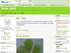城市隱者的新聞台